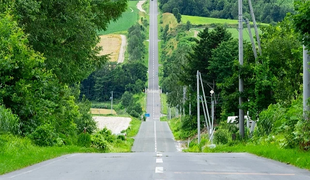 壯觀的雲霄飛車之路,地勢的上下起伏非常誇張