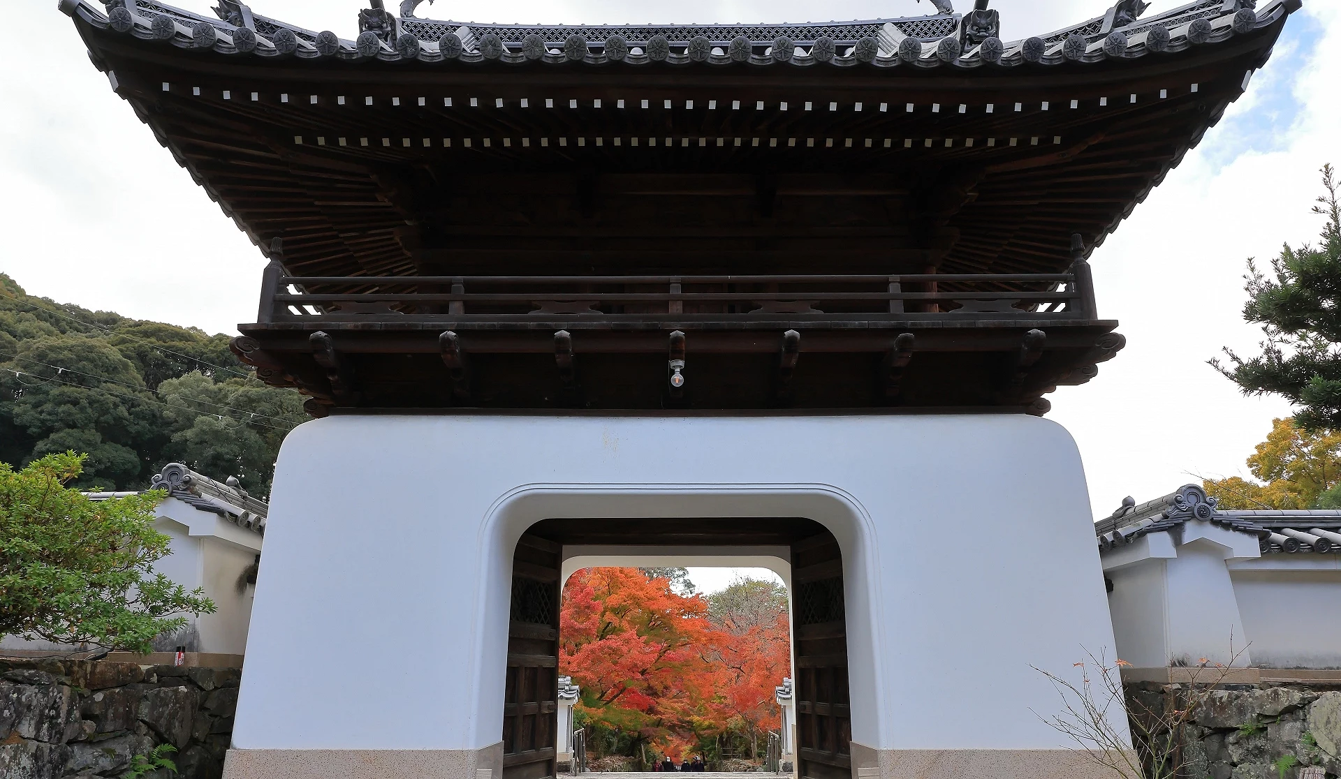 興聖寺山門前方對稱構圖,白牆黑瓦的重層屋頂襯托出門內一片艷紅楓葉,展現秋日禪寺靜謐氛圍。