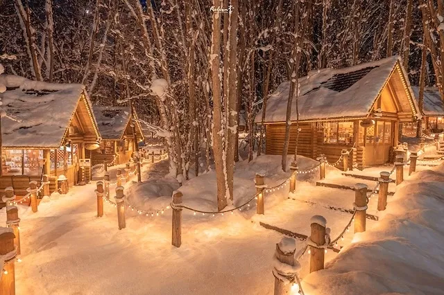 住進童話裡的森林！來探險「森林精靈露台」夢幻雪景與手作小屋