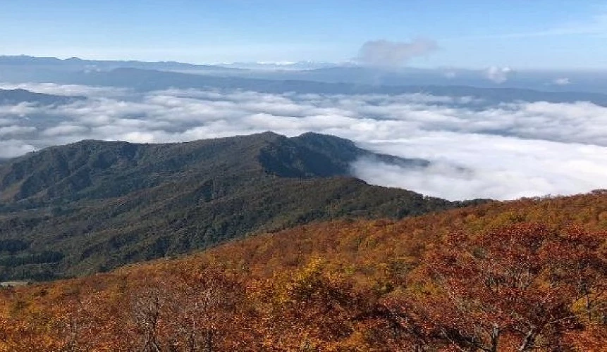 山,紅葉與雲海