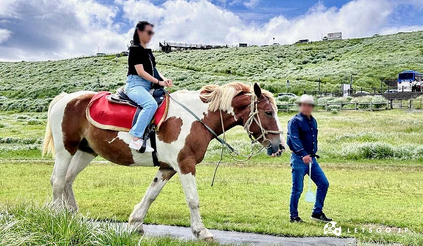 在草千里之濱可以自費體驗騎馬