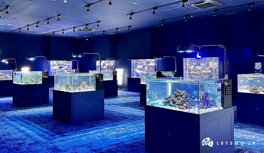 「BANNAI 水槽」展示了珊瑚礁與熱帶魚種組成的生態群