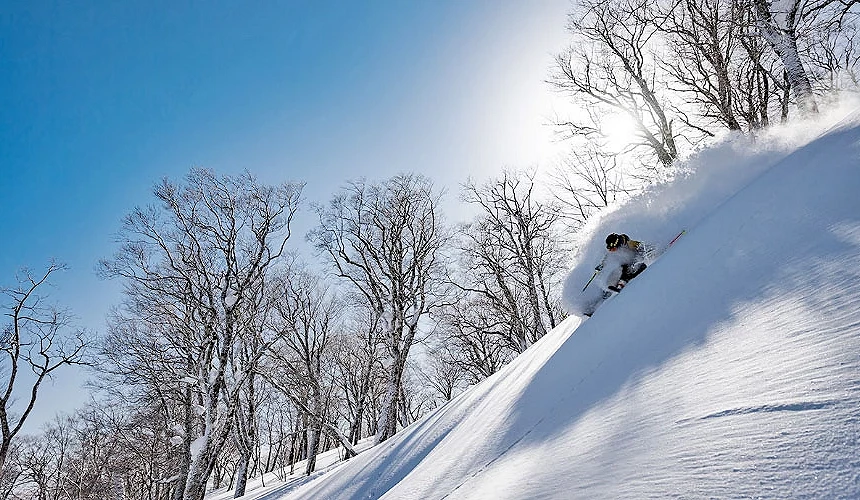 在坡面較陡的樹林粉雪中滑行的雙板滑雪者 提供:夏油高原スキー場