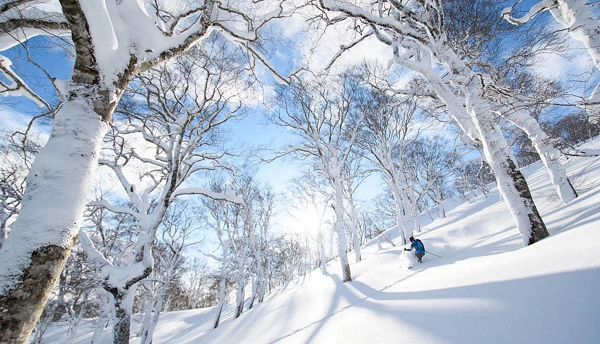 「夏油高原滑雪場」皚皚白雪的樹林間與滑雪者