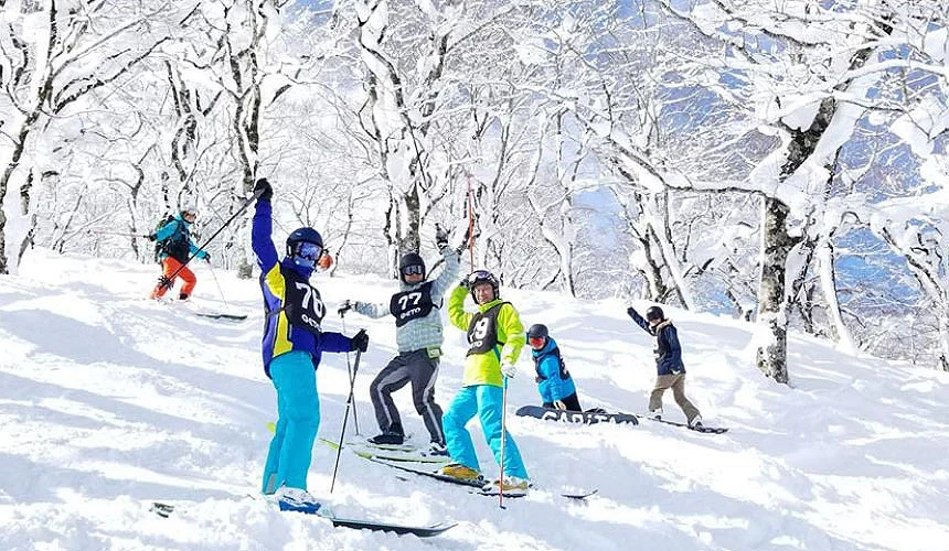 在樹林間漫步的滑雪者