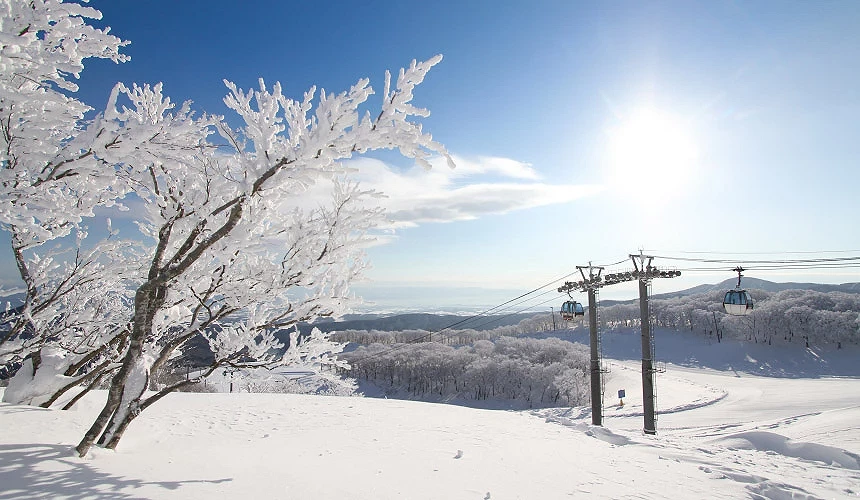 搭乘纜車可俯瞰雪場景色,感受被皚皚白雪環繞的震撼感