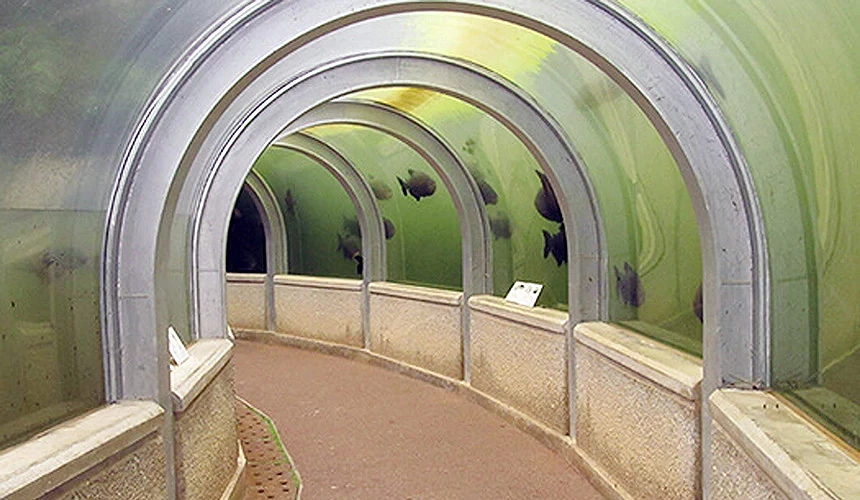 以亞馬遜河生態為靈感打造的透明水族隧道