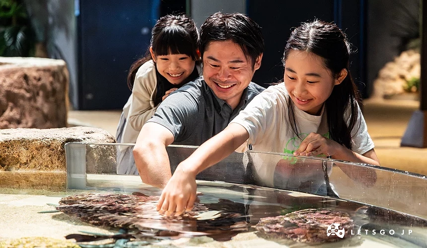 父親與孩子摸鯊魚的樣子