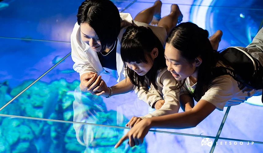 親子趴在下方是大水槽的玻璃表面上開心地欣賞魚群