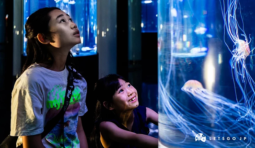 孩子們正在觀看水槽裡的水母