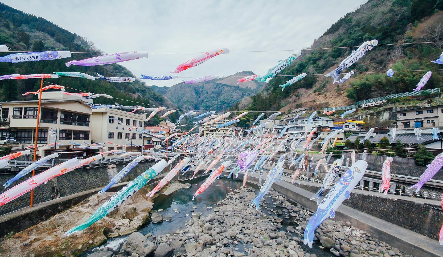 色彩繽紛的鯉魚旗在杖立溫泉的上空飄揚