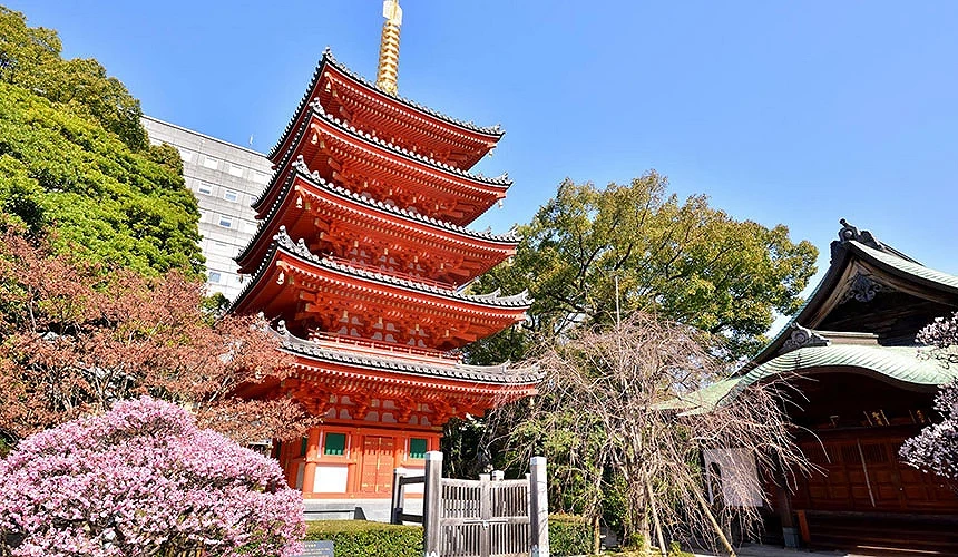 「真言宗東長寺」是日本最古老的密宗佛教寺院之一