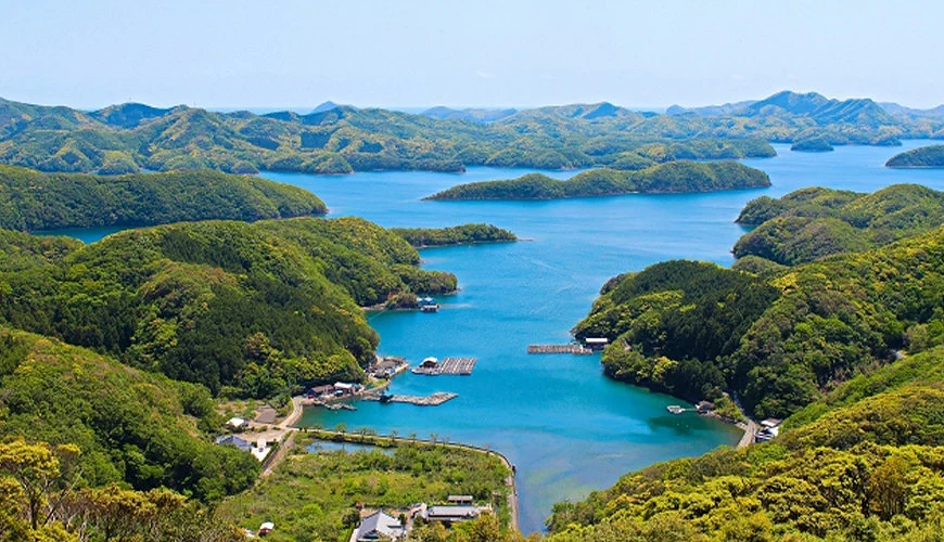 對馬島從山上看到的怡人景色