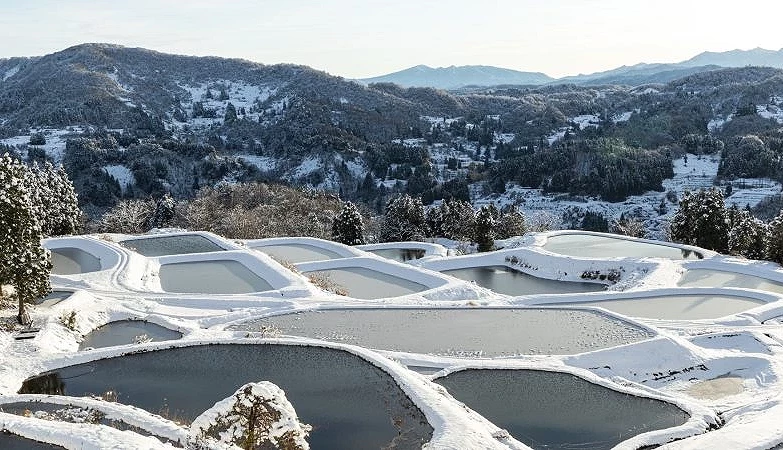 雪覆蓋在梯田