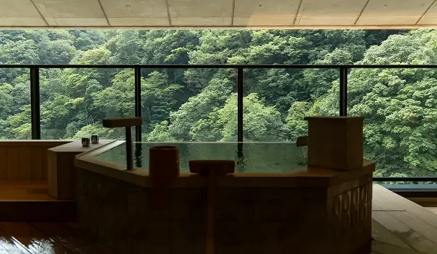 溫泉外有綠色的山景