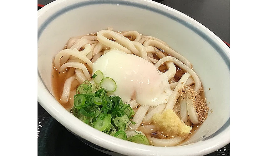 讚岐麺業的烏龍麵料理俯角中特寫