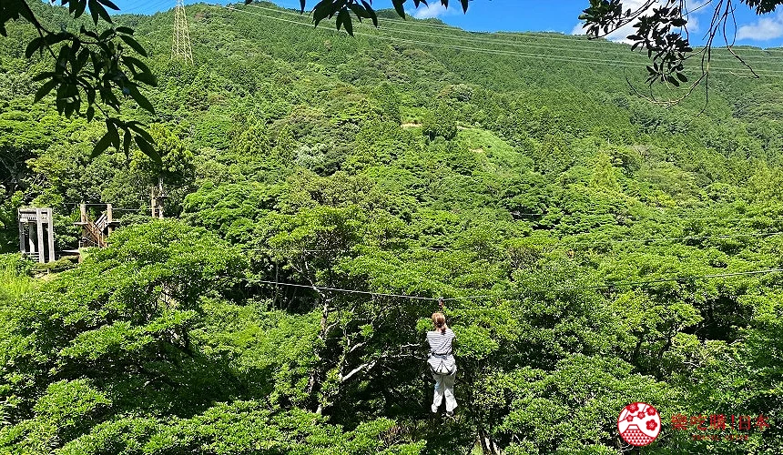 森林空中滑索