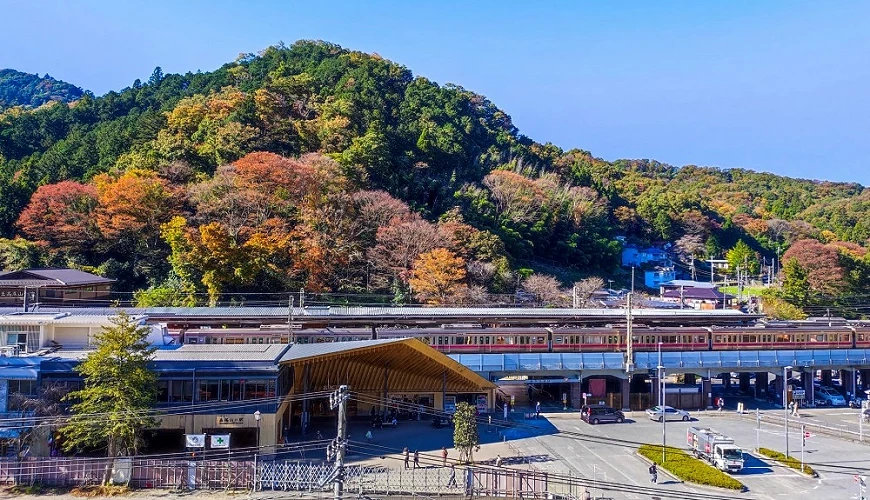 高尾山車站與周邊紅葉