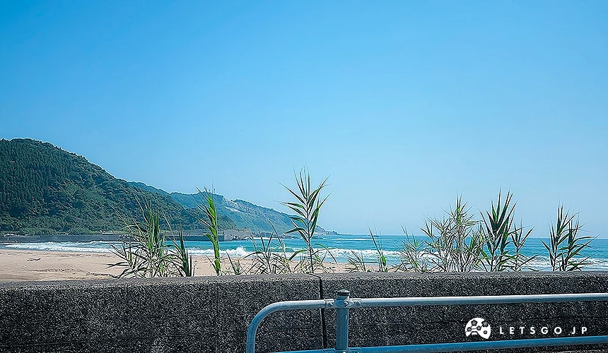 從路邊看日南海岸的景色
