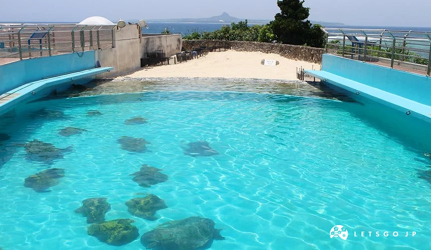 沖繩必去景點推薦「美麗海水族館」裡的海龜館的人工沙灘