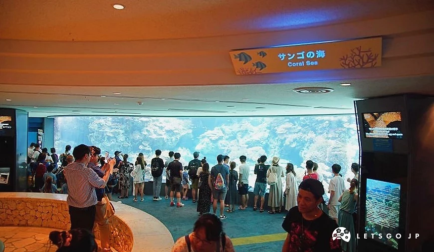 多名遊客在寫有日文標語的珊瑚礁大型水槽前駐足觀賞
