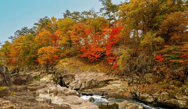 岩手縣一關市嚴美溪的秋日景色,紅葉林倒映溪流,奇岩怪石與清澈水流交織壯麗景觀