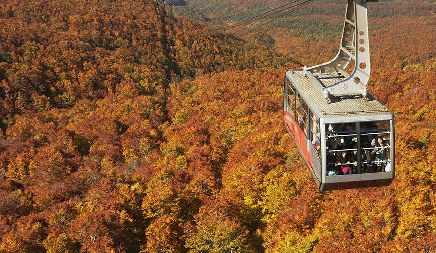 八甲田山纜車俯瞰滿山楓葉紅黃交織,壯麗的秋季景色一覽無遺