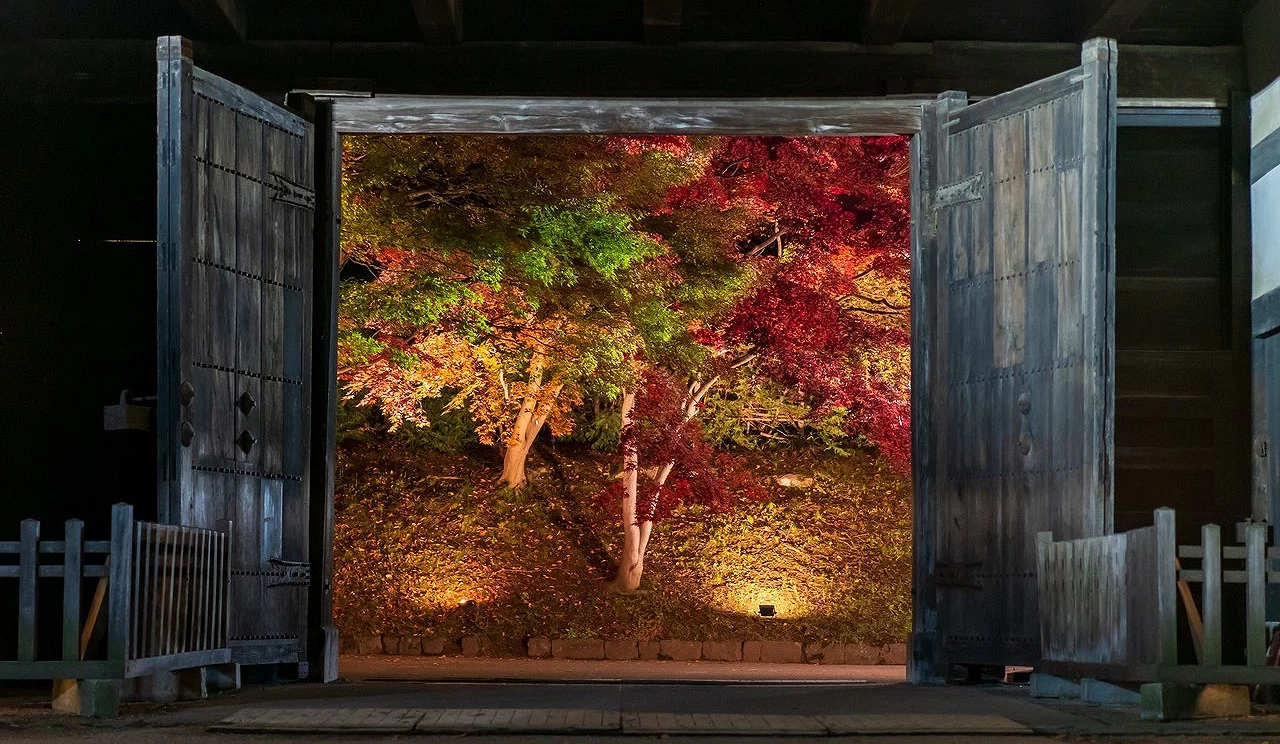 弘前公園秋季紅葉夜間點燈,古城門框景下楓葉絢爛
