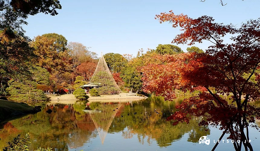 東京六義園池塘畔紅葉映照水面,日本傳統雪吊景觀與庭園相映成趣