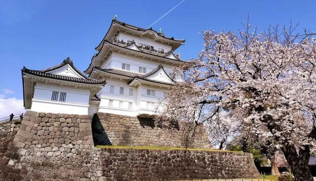 小田原自由行攻略：交通資訊、景點美食、伴手禮、住宿推薦與一日遊行程
