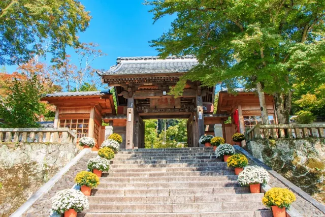 修善寺溫泉鄉介紹：漫步竹林小徑、體驗伊豆之美