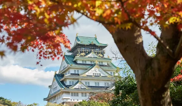 大阪楓葉必看11選：大阪城、勝尾寺、萬博紀念公園紅葉觀賞期整理