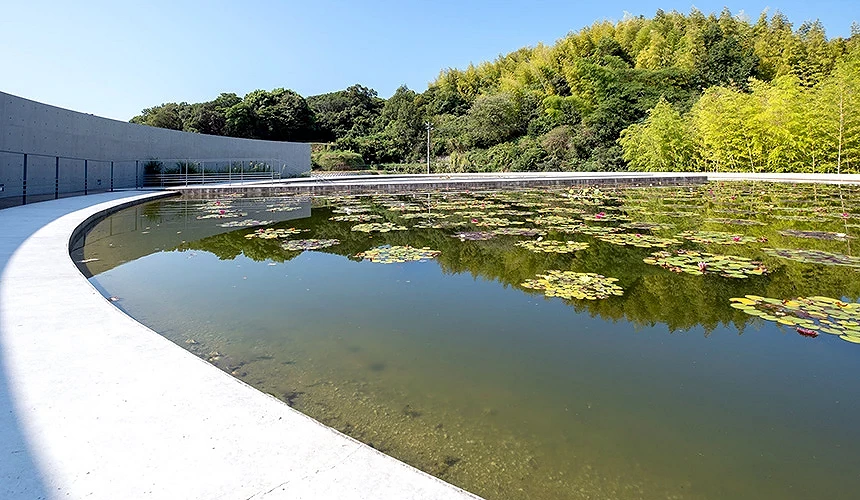 由知名建築師安藤忠雄設計的「本福寺 水御堂」。