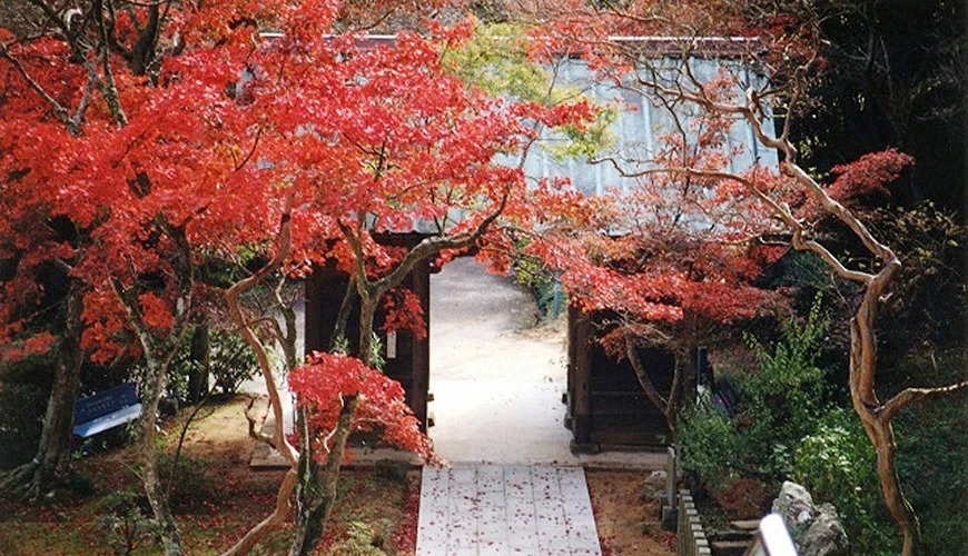 「平生山 東山寺」秋楓美景。