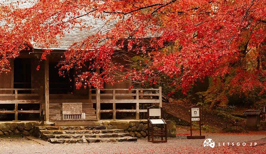 岩手平泉中尊寺木造寺院映襯滿樹朱紅楓葉