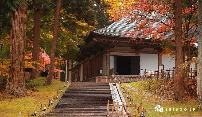 中尊寺金色堂參道,沿著石階而上,兩側杉木與紅葉交織