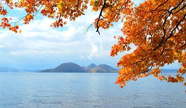從湖畔欣賞楓葉及中島結合的秋景