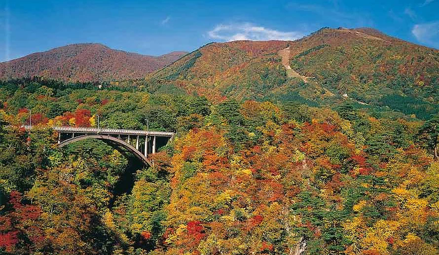 橫跨峽谷的「大深澤橋」與滿山楓葉是攝影者最愛拍攝點