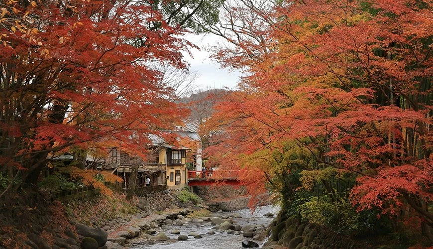 修善寺溫泉街秋季風景,溪流兩側染上紅黃楓葉,遠方紅橋與傳統旅館點綴其中,展現寧靜日式秋意