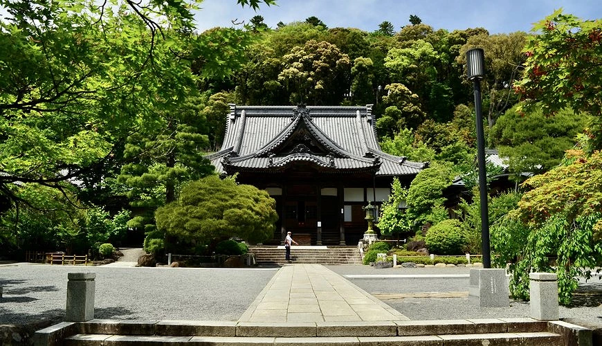 修禪寺本堂春夏景色,寺院建築被青綠樹葉與森林環繞,石階步道通往莊嚴寧靜的禪宗古剎