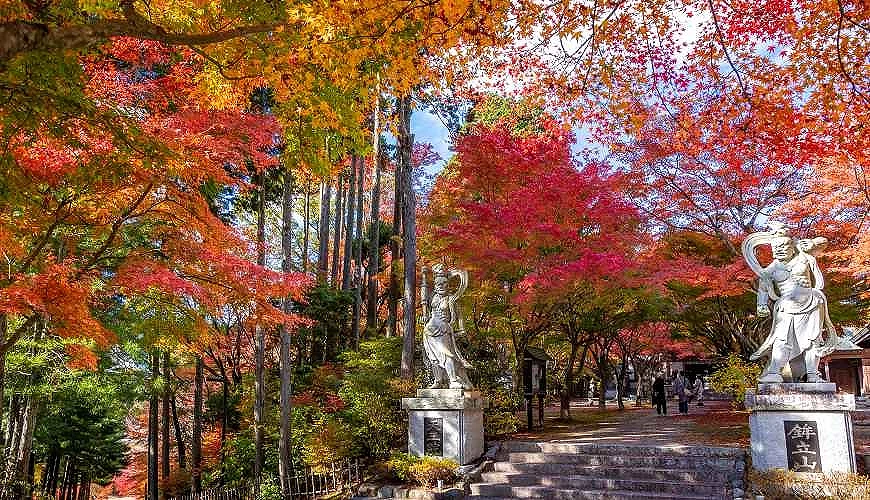 呑山觀音寺的楓葉