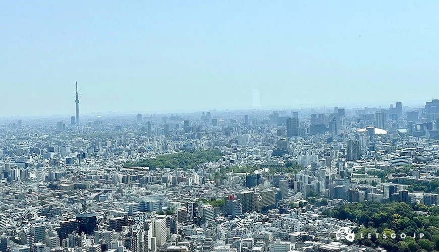 東京城市風景,遠方還可看到晴空塔
