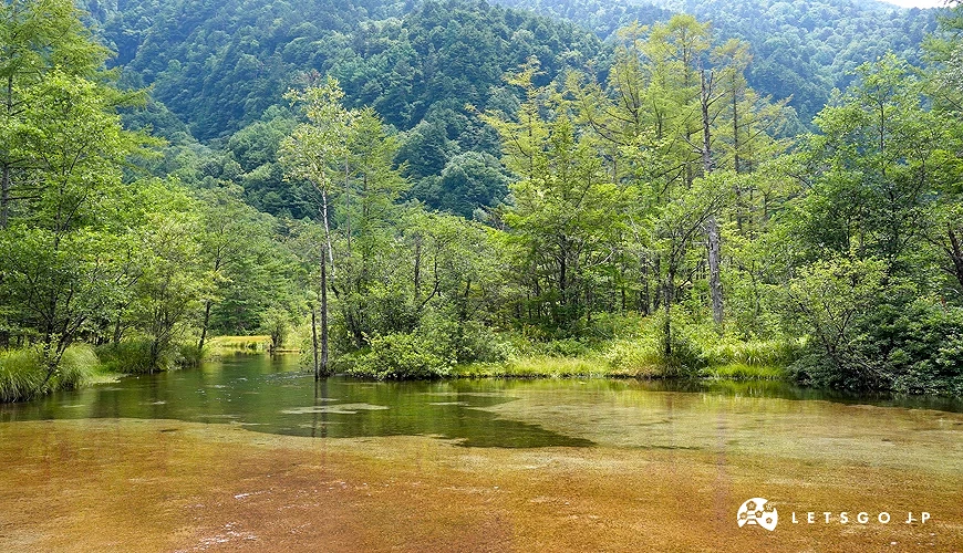 藍天跟率黃色山脈,前面有樹林,樹林前面是一小片池子