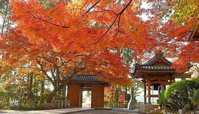 大興善寺的仁王門及鐘樓及楓葉