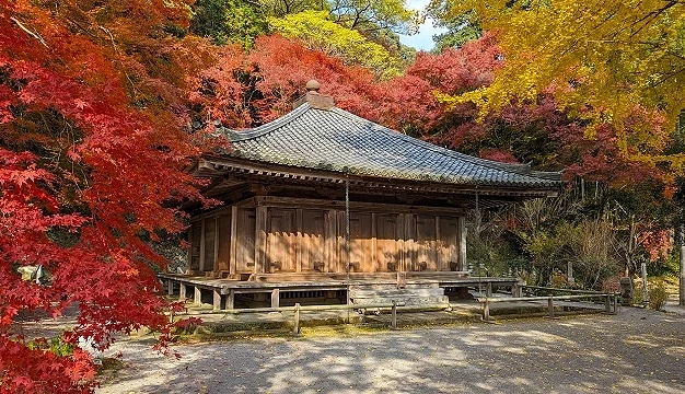 被紅葉包圍著的富貴寺