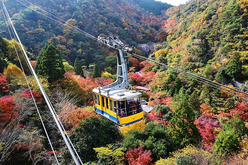 纜車懸掛於秋季山林上空,車廂穿梭在五彩繽紛的楓葉景致中