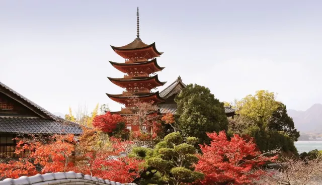 岡山楓葉最推後樂園、廣島紅葉谷公園漫山楓葉【山陽山陰賞楓景點】 的縮圖