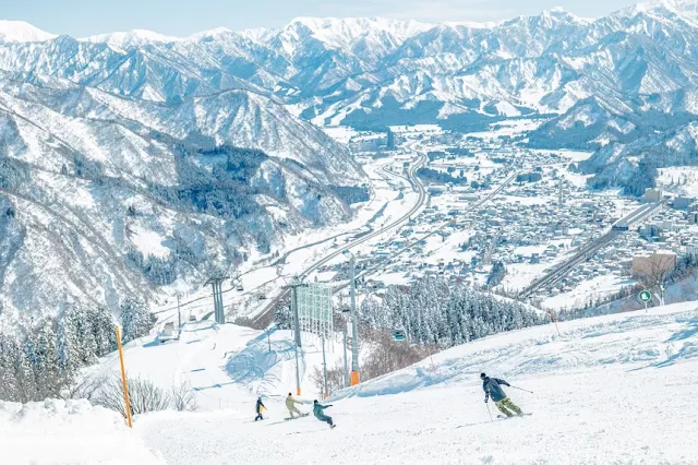 新潟滑雪場推薦：含中文教練、絕景溫泉，初學者也能輕鬆瘋滑雪！ 的縮圖