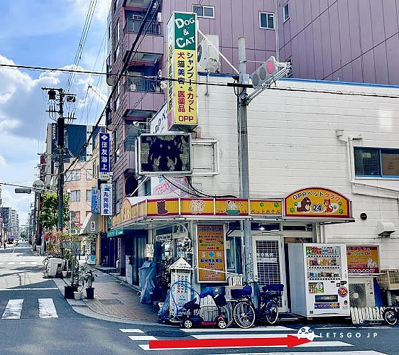 直走,過橋,看到寵物用品店右轉,即可抵達