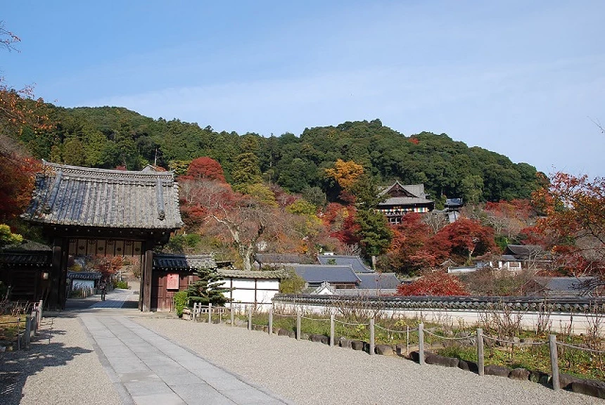 通往長谷寺的石板路,兩側紅葉圍繞,遠處可見山中殿堂